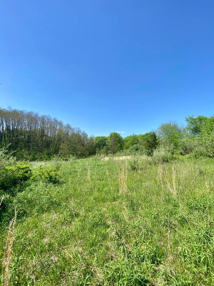 5491 County Road 25 - Photo 1