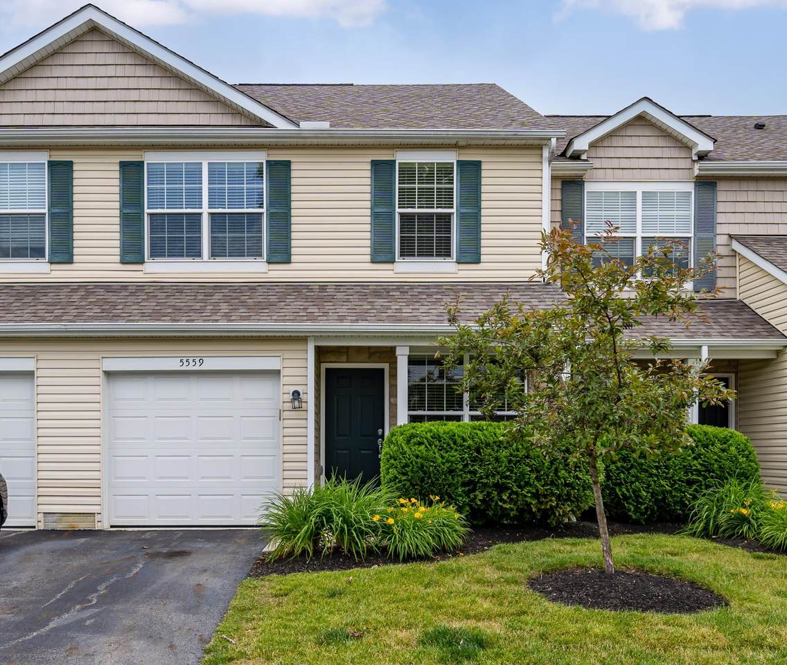 5559 Albany Terrace Way - Photo 1