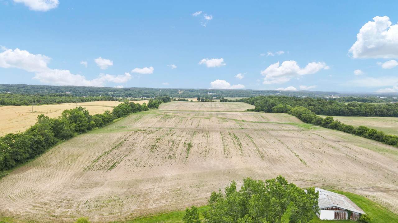 2241 Seminary Road - Photo 1