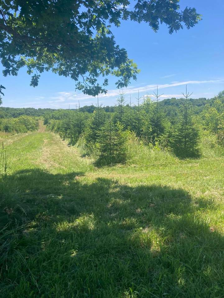 0 Garber Road - Photo 1