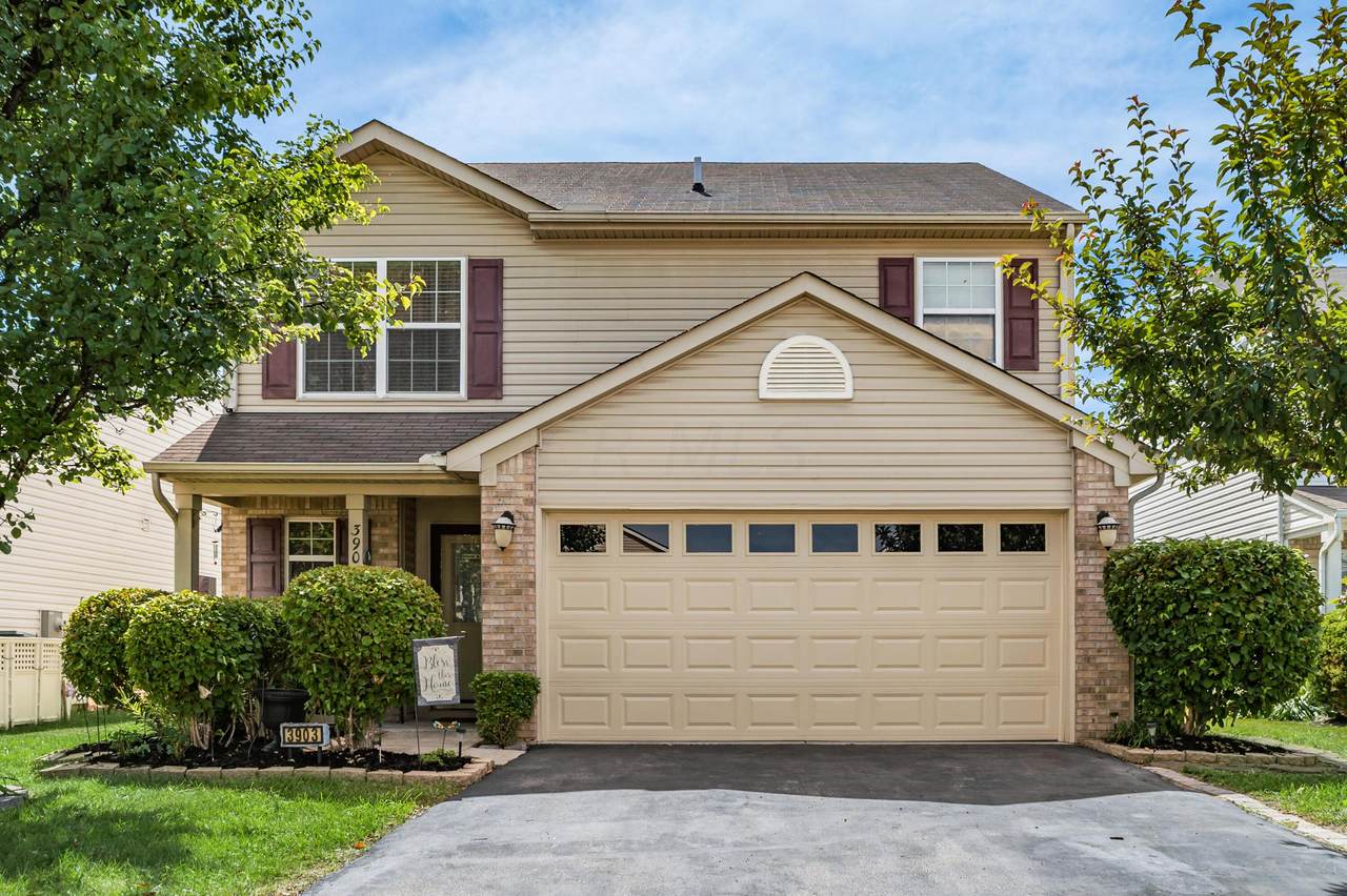 3903 Liriope Street - Photo 1