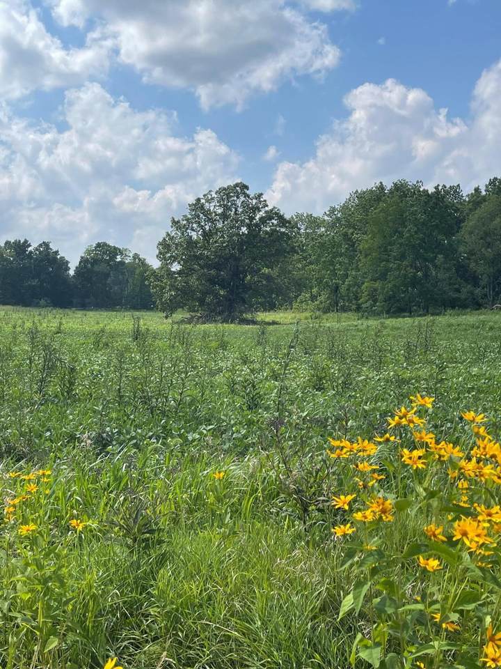 18130 Fredericktown Amity Road - Photo 1
