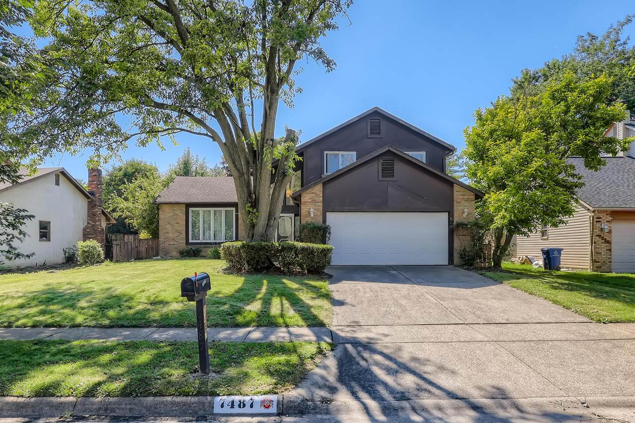 7487 Blue Fox Lane - Photo 1