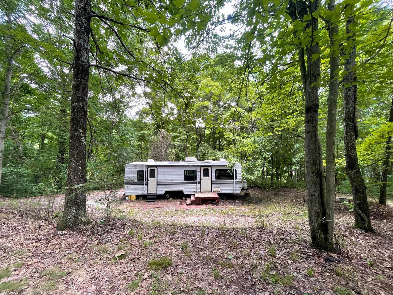 11175 Gore-Greendale Road - Photo 1