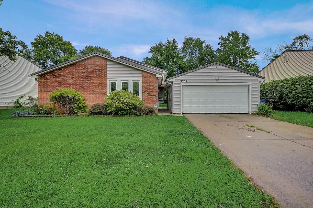 3764 Big Walnut Drive - Photo 1