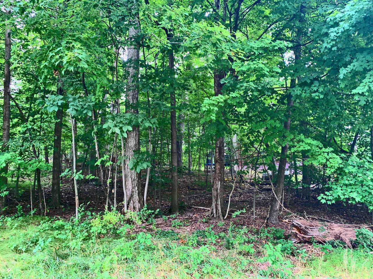 100 Green Valley Drive - Photo 1