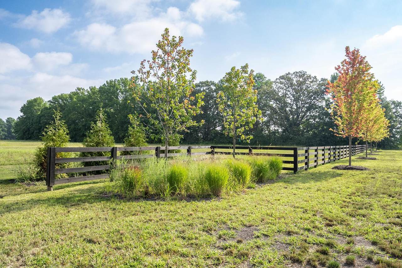 3406 Bunty Station Road - Photo 1