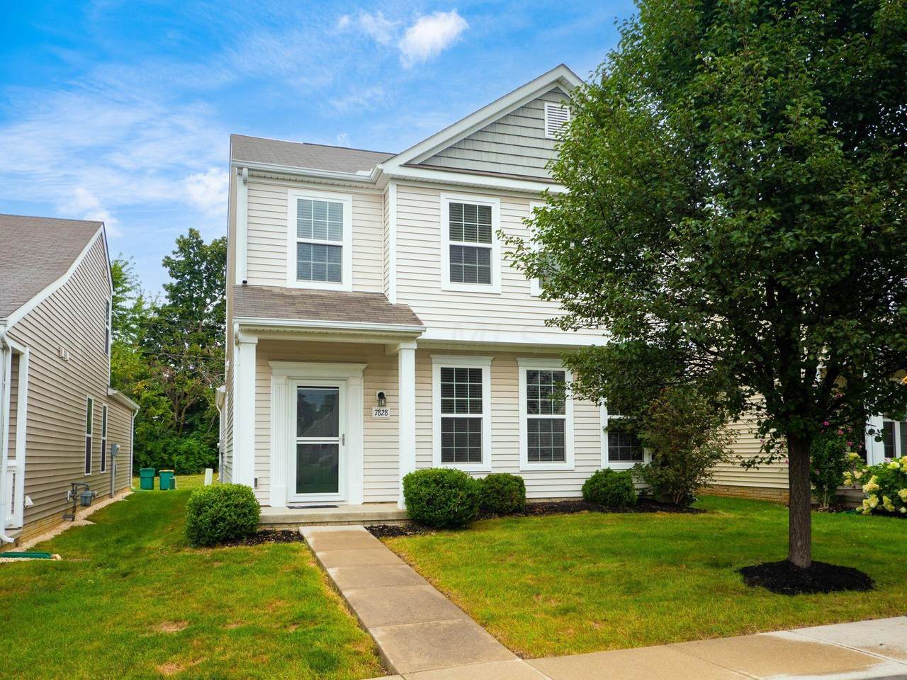 7828 Freesia Street - Photo 1