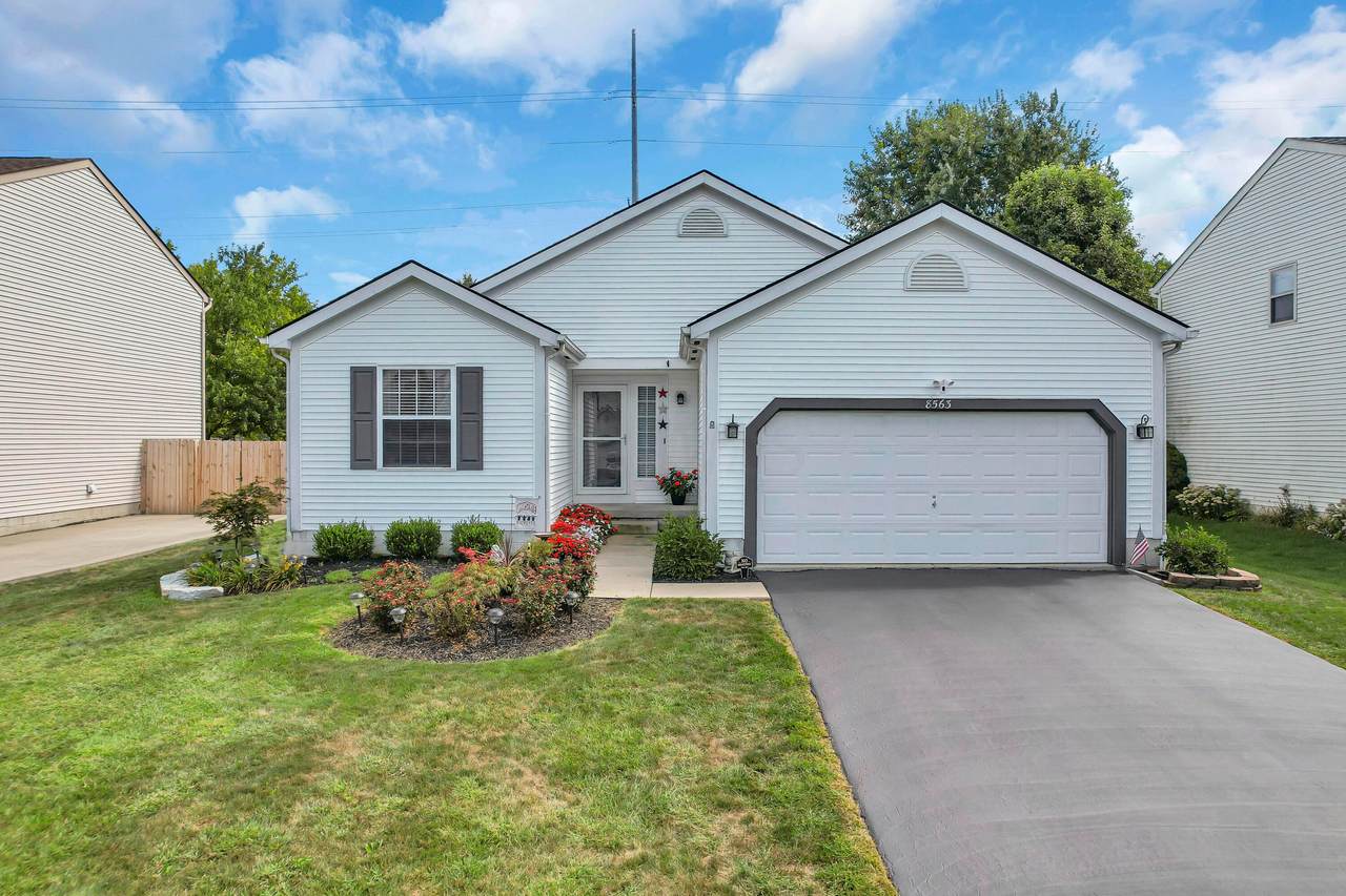 8563 Bivouac Place - Photo 1