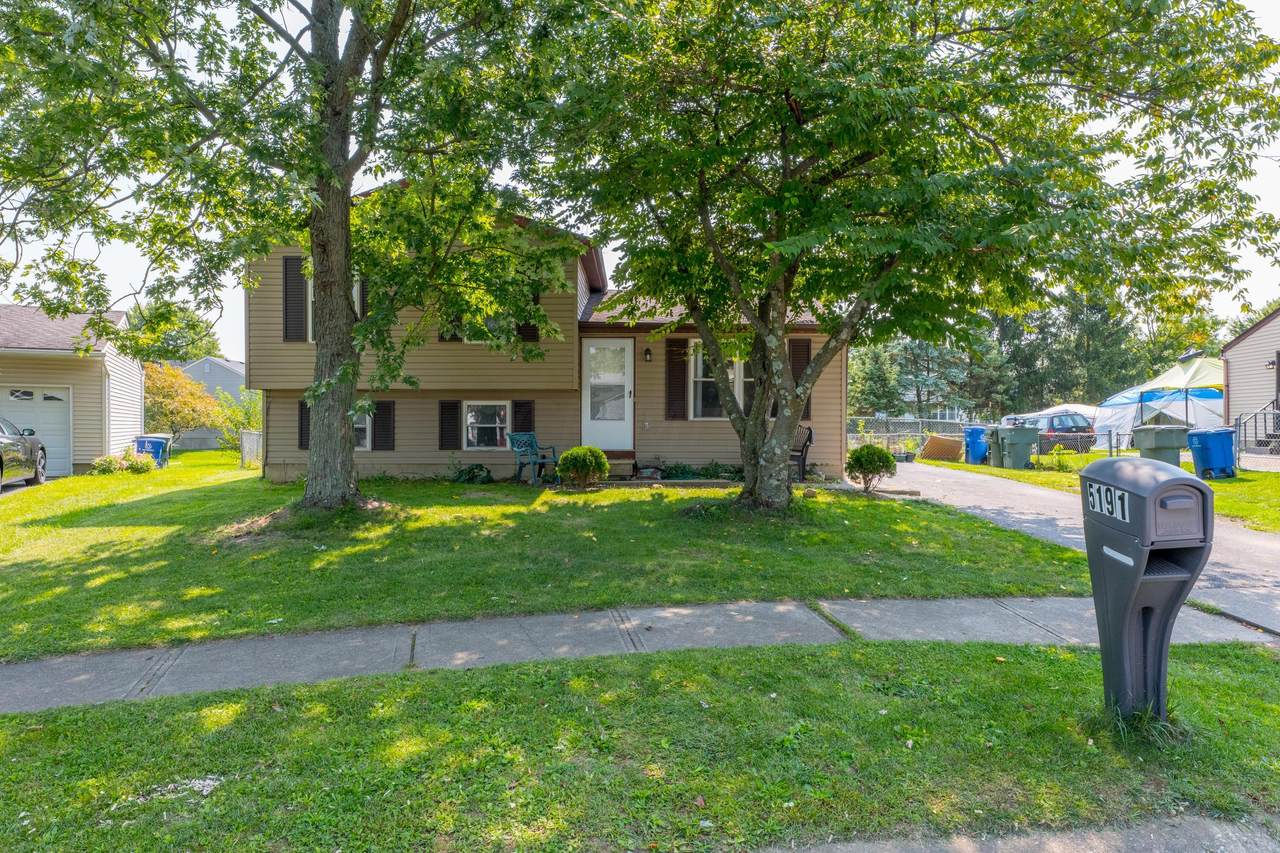 5191 Golden Fern Lane - Photo 1