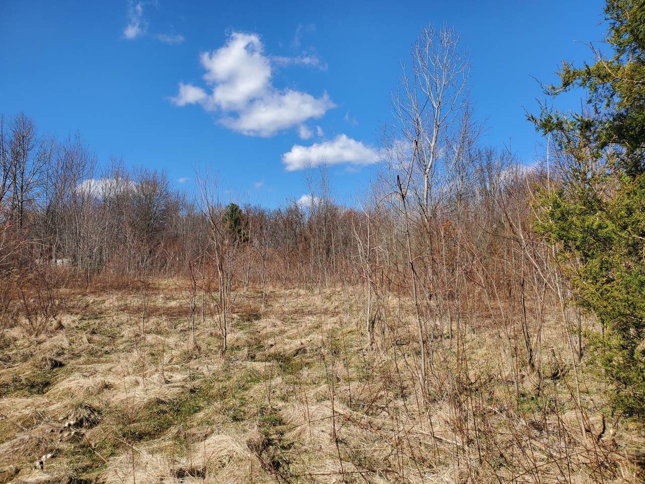 0 London Groveport Road - Photo 1