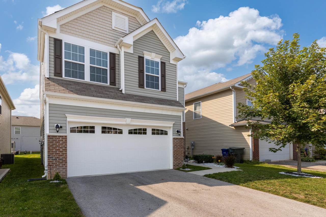 4889 Grimm Drive - Photo 1