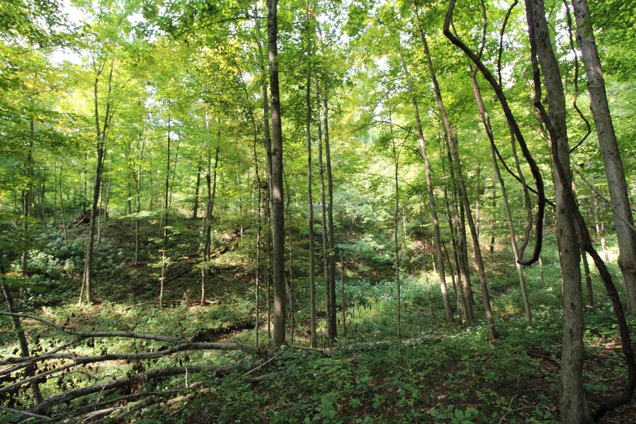 0 Columbus Road - Photo 1
