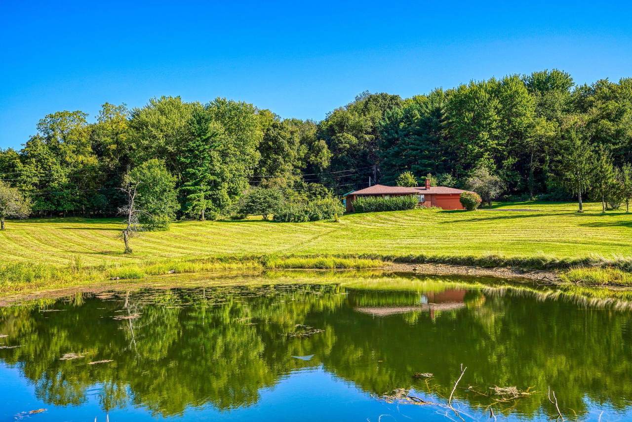 4330 Evergreen Road - Photo 1