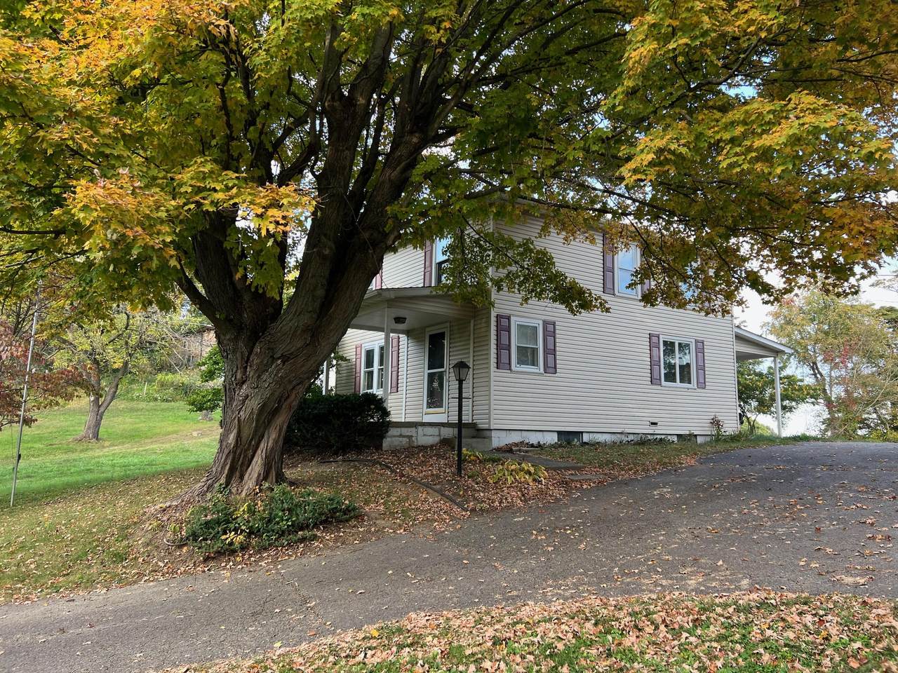 3945 Crawfis Road - Photo 1