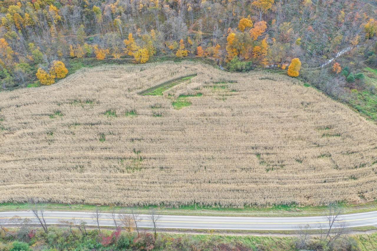 0 Adamsville Road - Photo 1