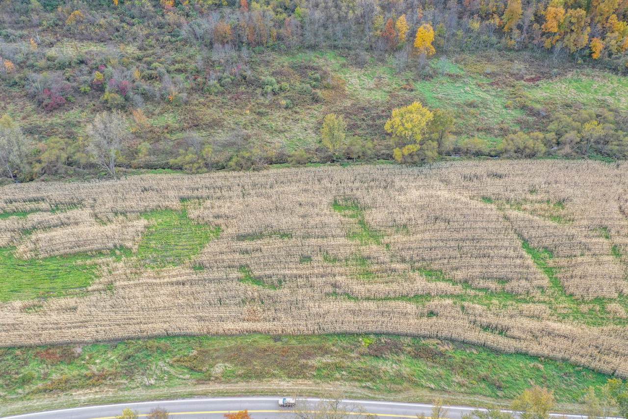 0 Adamsville Road - Photo 1