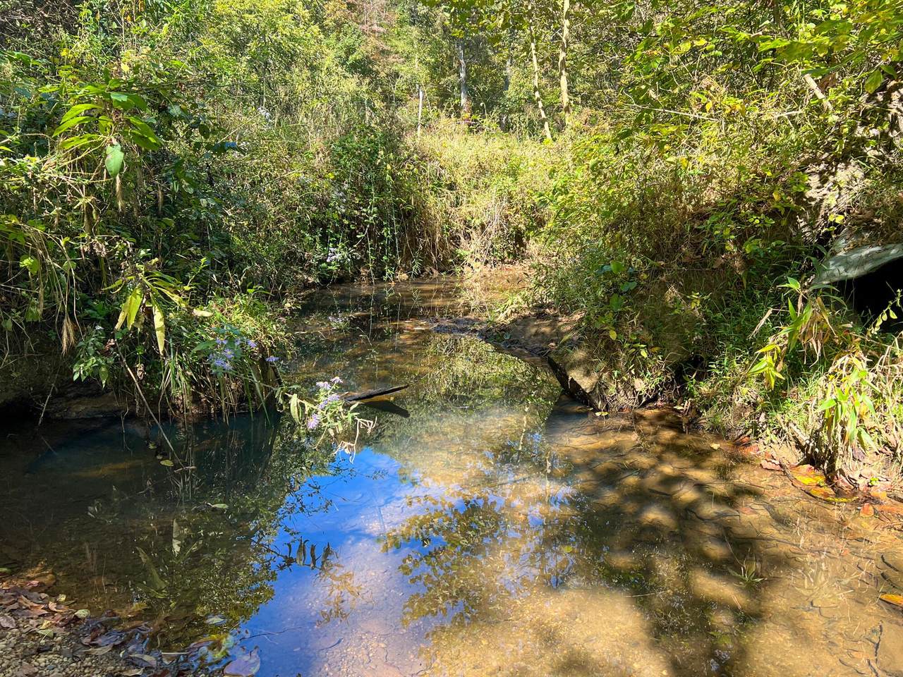 0 Sour Run Road - Photo 1