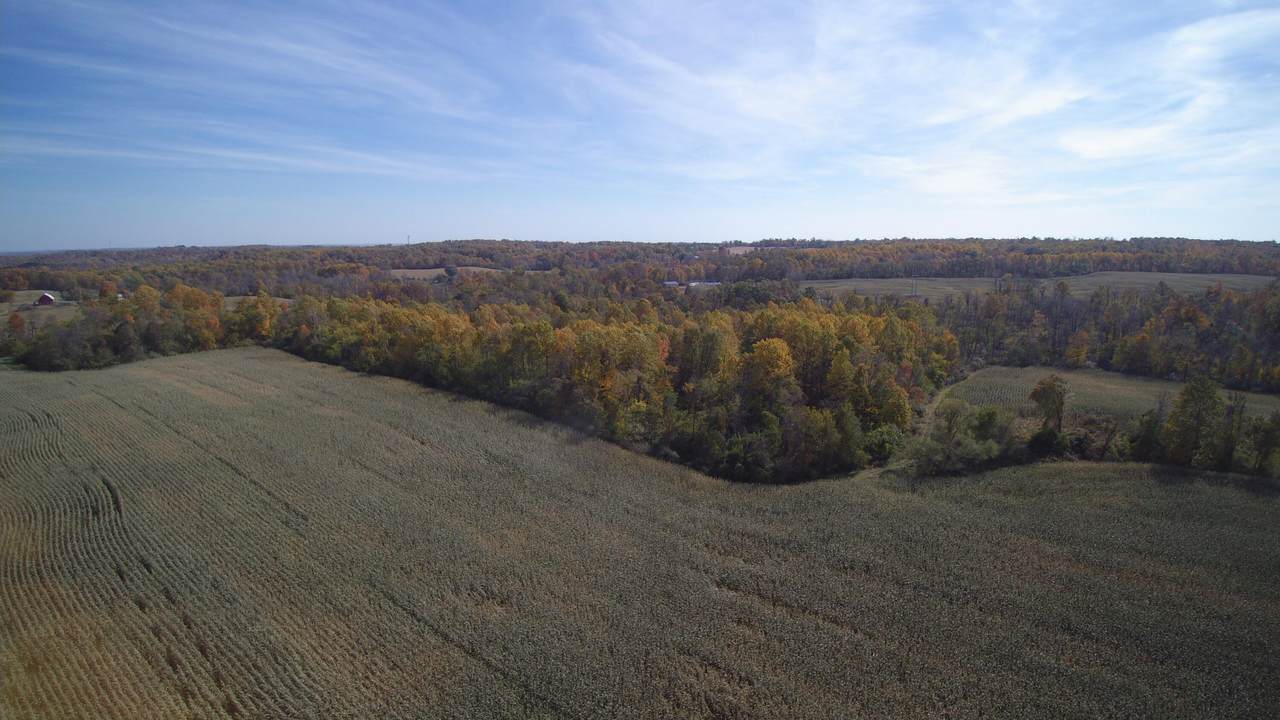 0 Blue Road - Photo 1