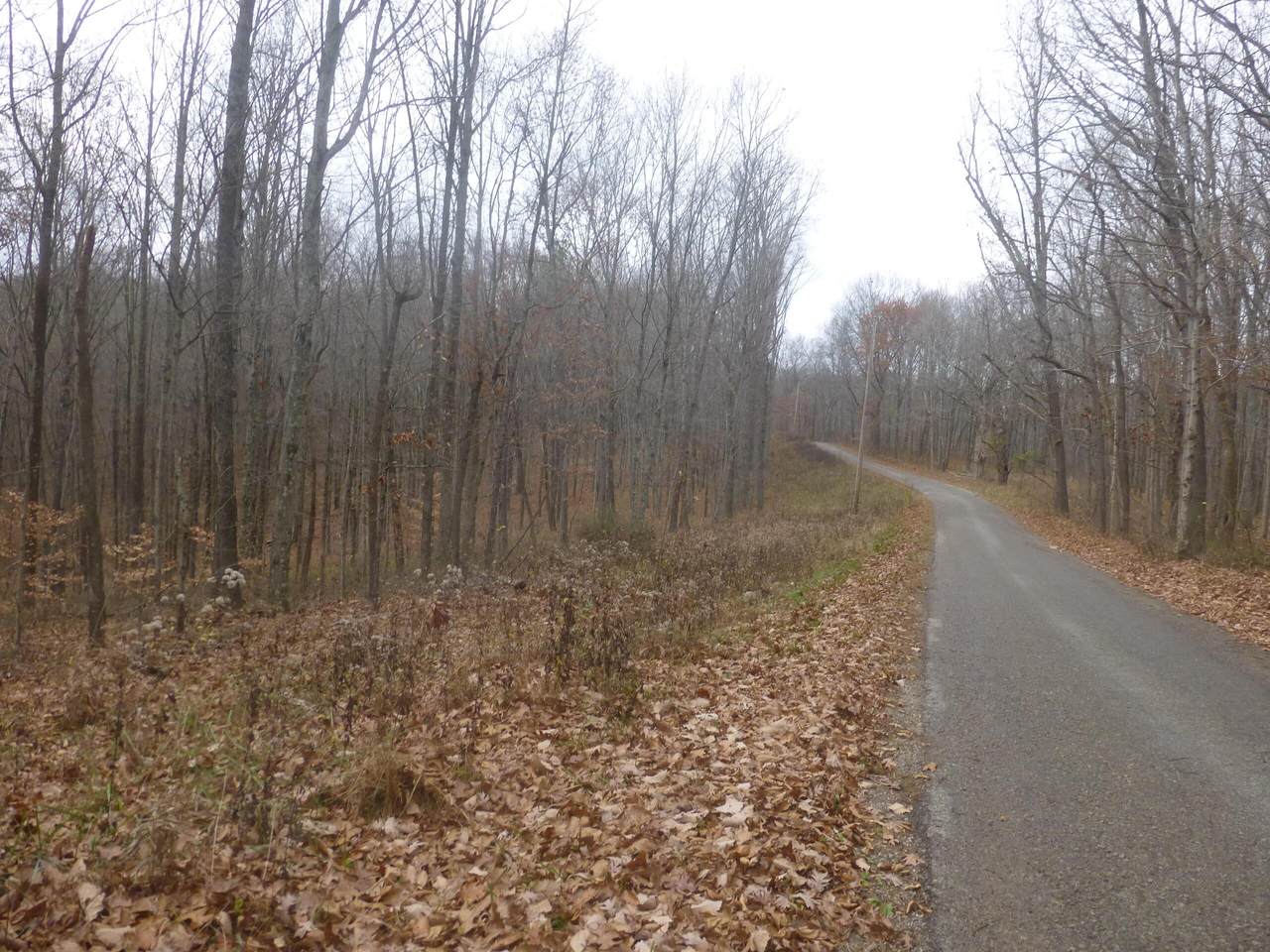 29225 Gearing Ridge Road - Photo 1