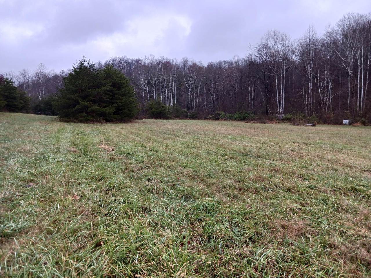 38440 Little Forest Run Road - Photo 1