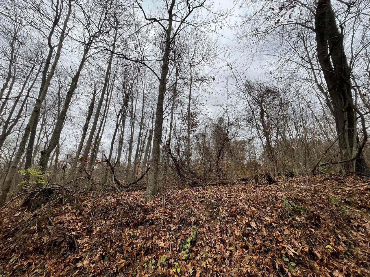 0 Cooperrider Road - Photo 1