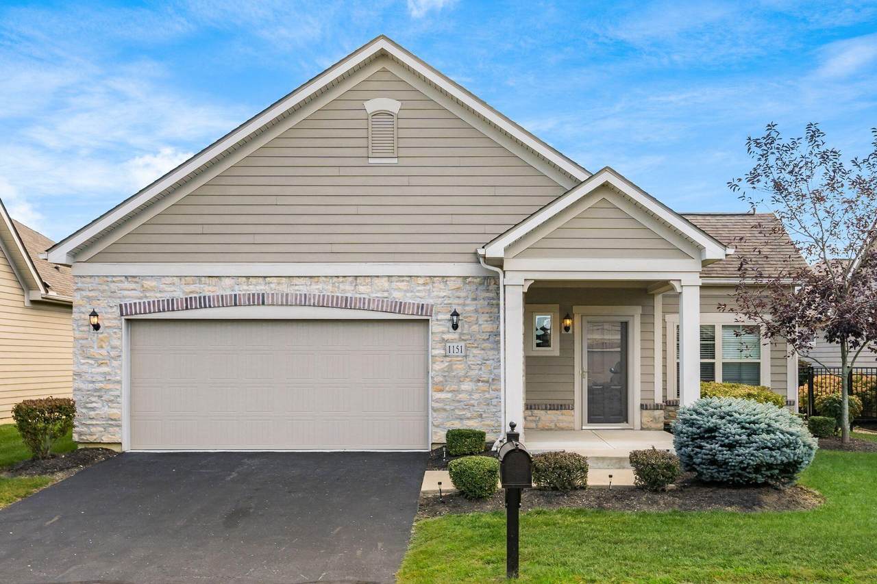 1151 Little Bear Place - Photo 1
