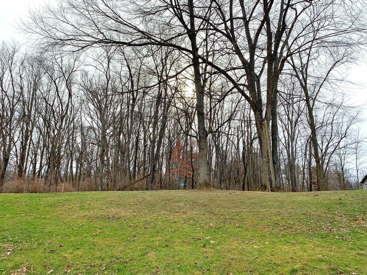 0 Deer - Photo 1