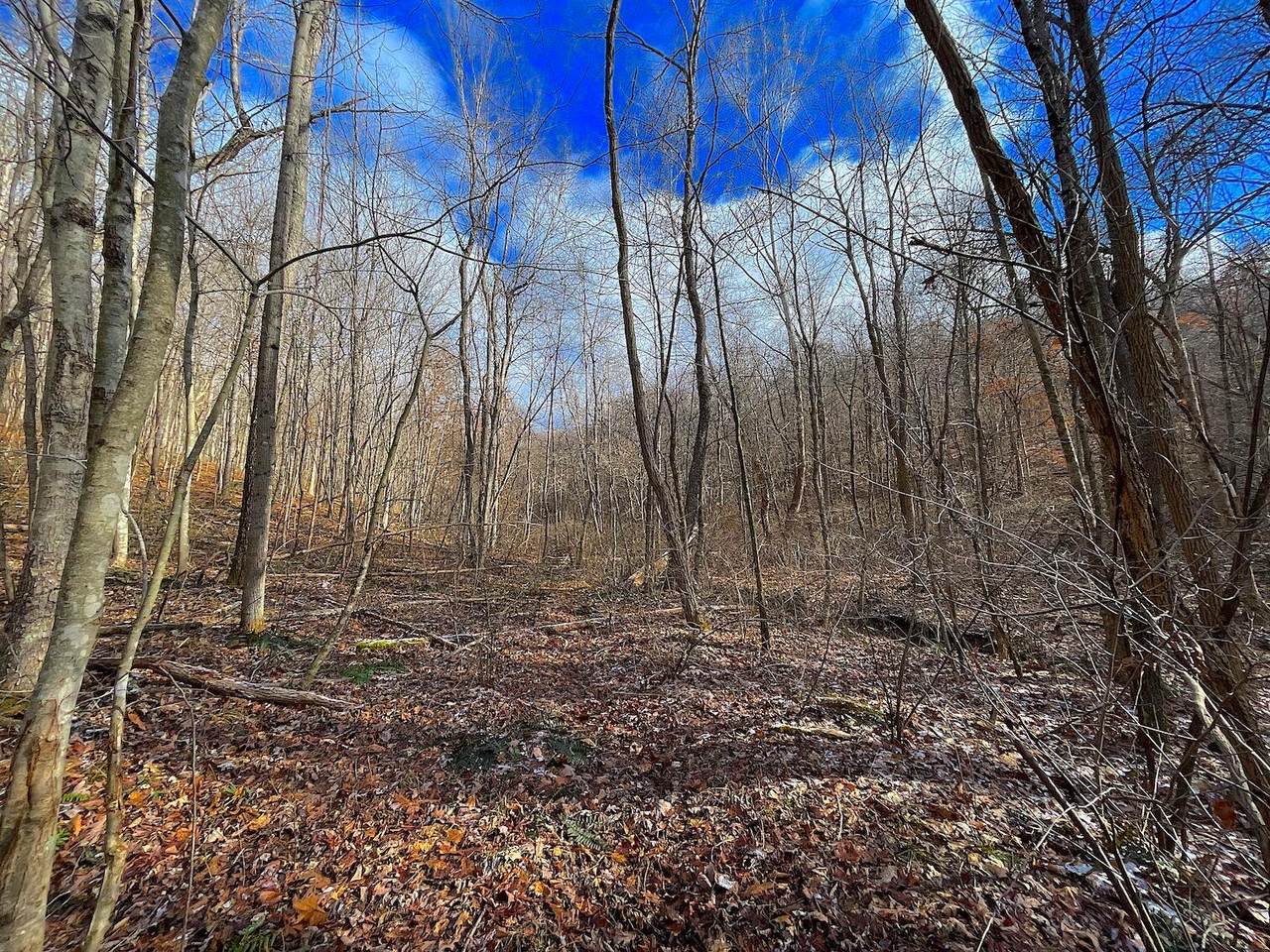 0 Hunt Run Road - Photo 1