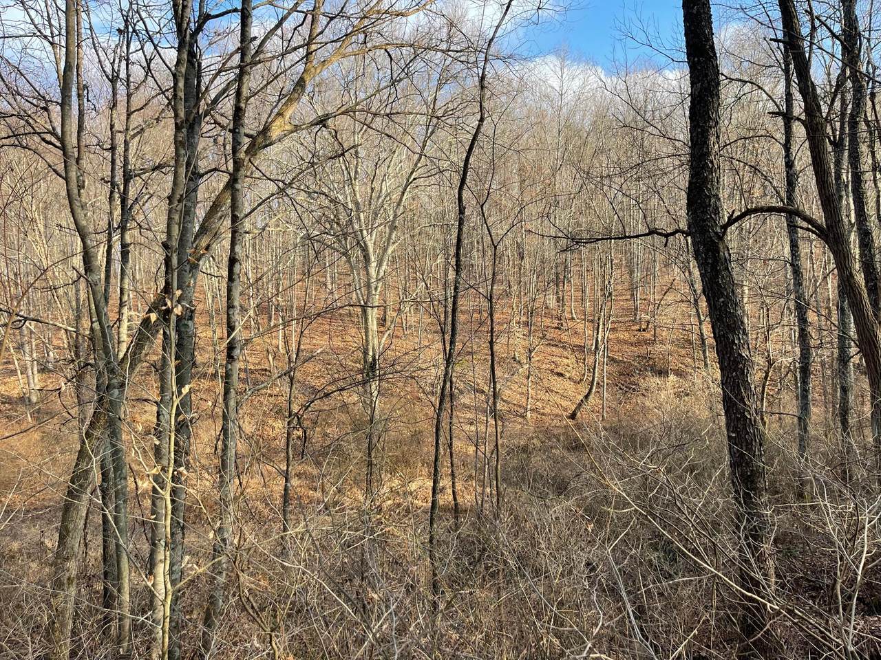 0 Pumpkin Ridge Road - Photo 1
