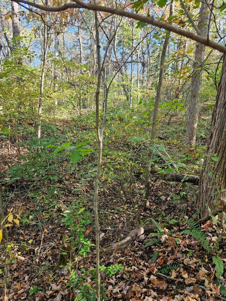0 Heddleson Ridge - Photo 1