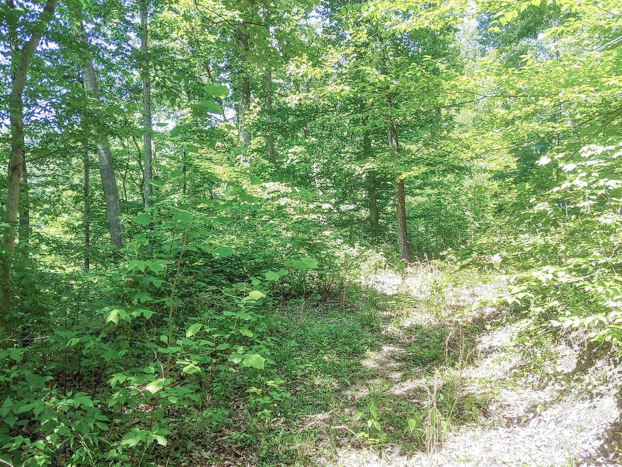 https://bt-photos.global.ssl.fastly.net/columbus/1280_boomver_1_224017219-2.jpg