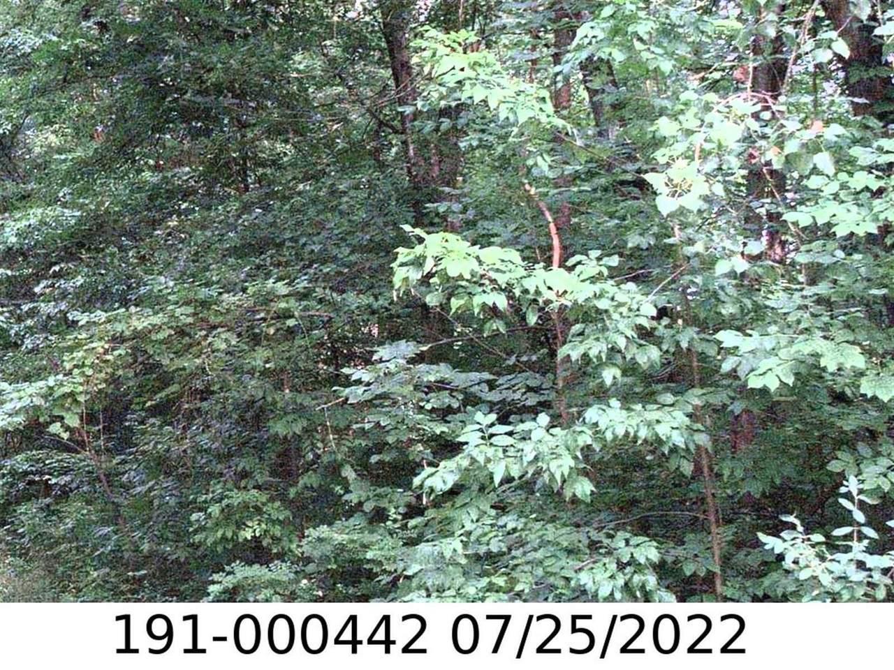 0 Minnesota Avenue - Photo 1