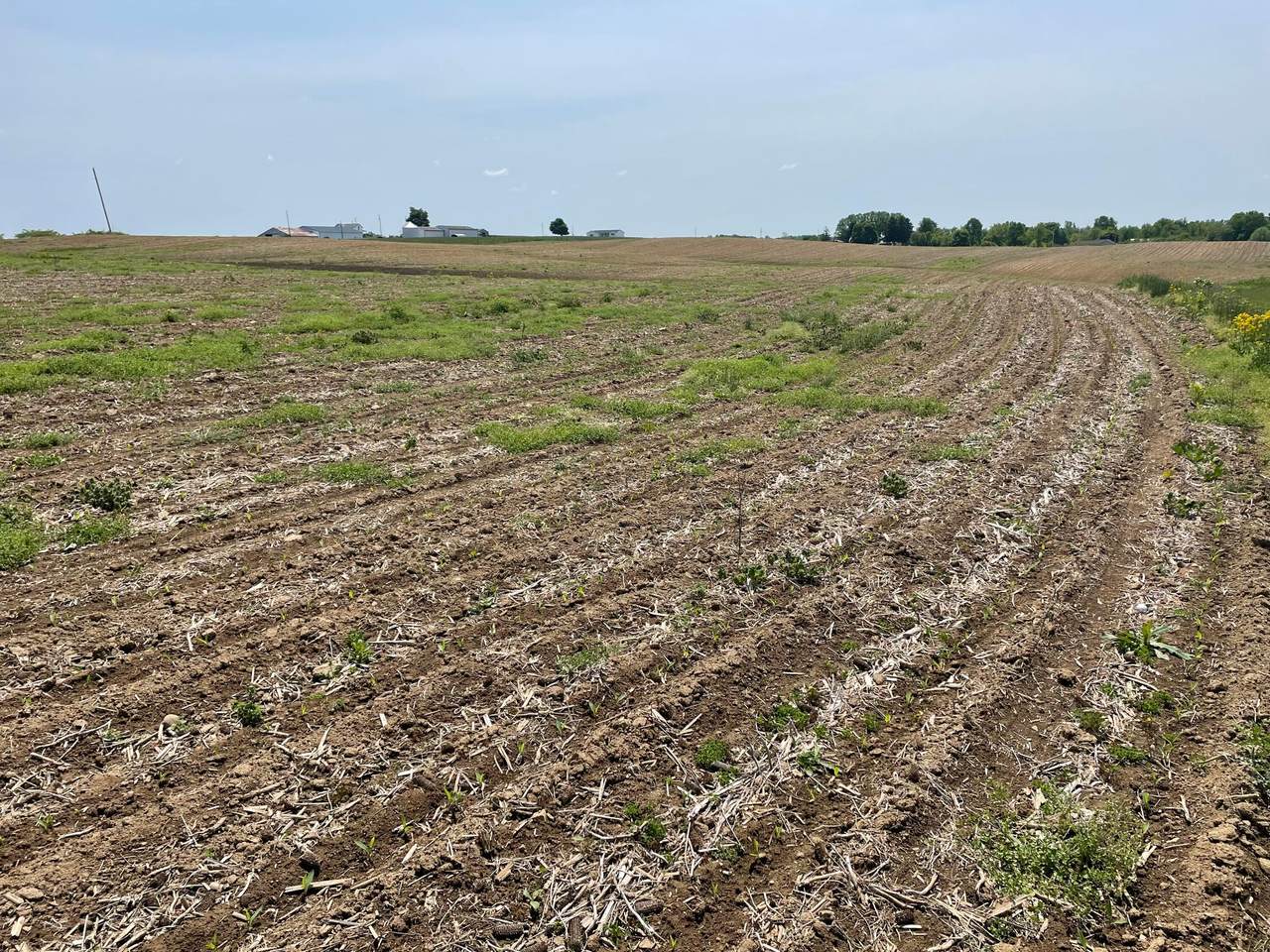 0-Lot 5 Strickler Road - Photo 1