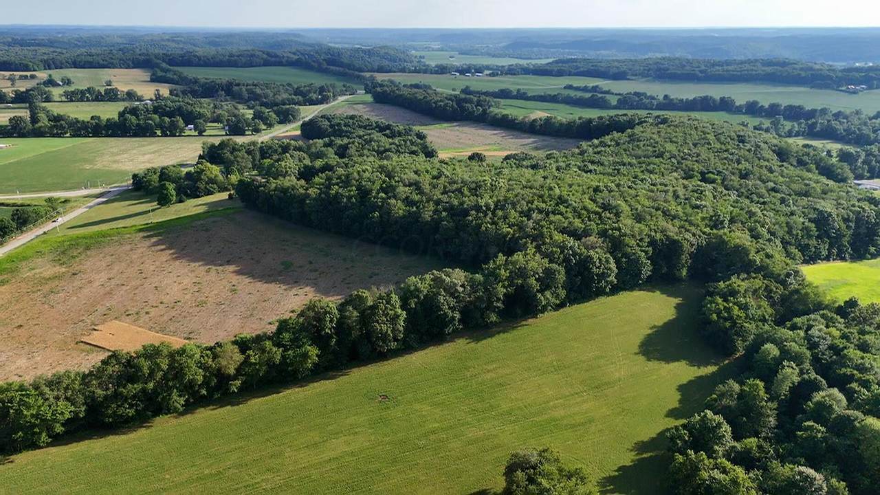 0-LOT #5 Dog Hollow Road - Photo 1