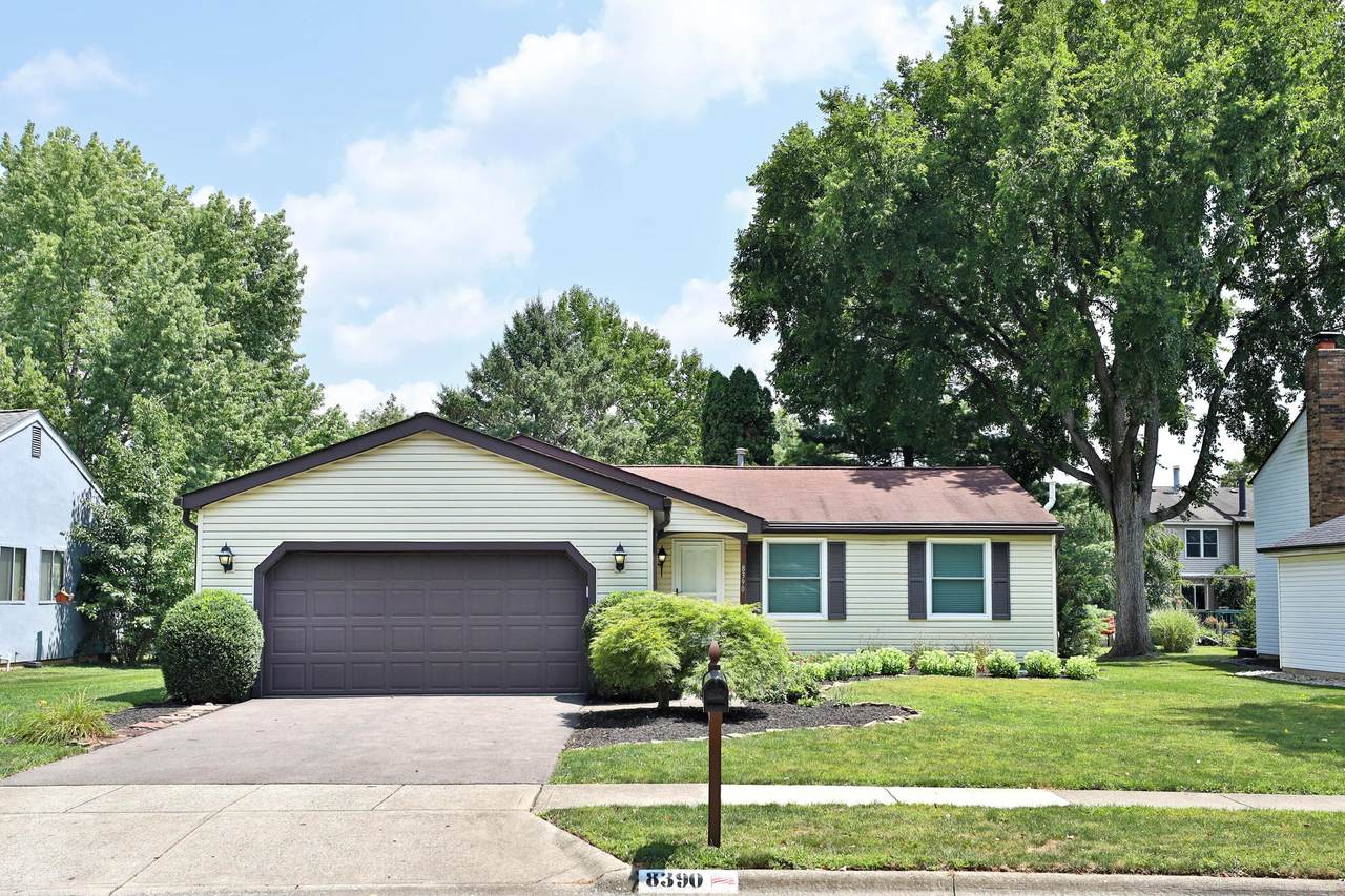 8390 Nuthatch Way - Photo 1