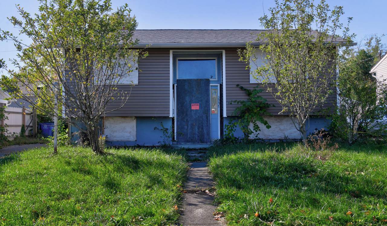 3997 Briggs Road - Photo 1