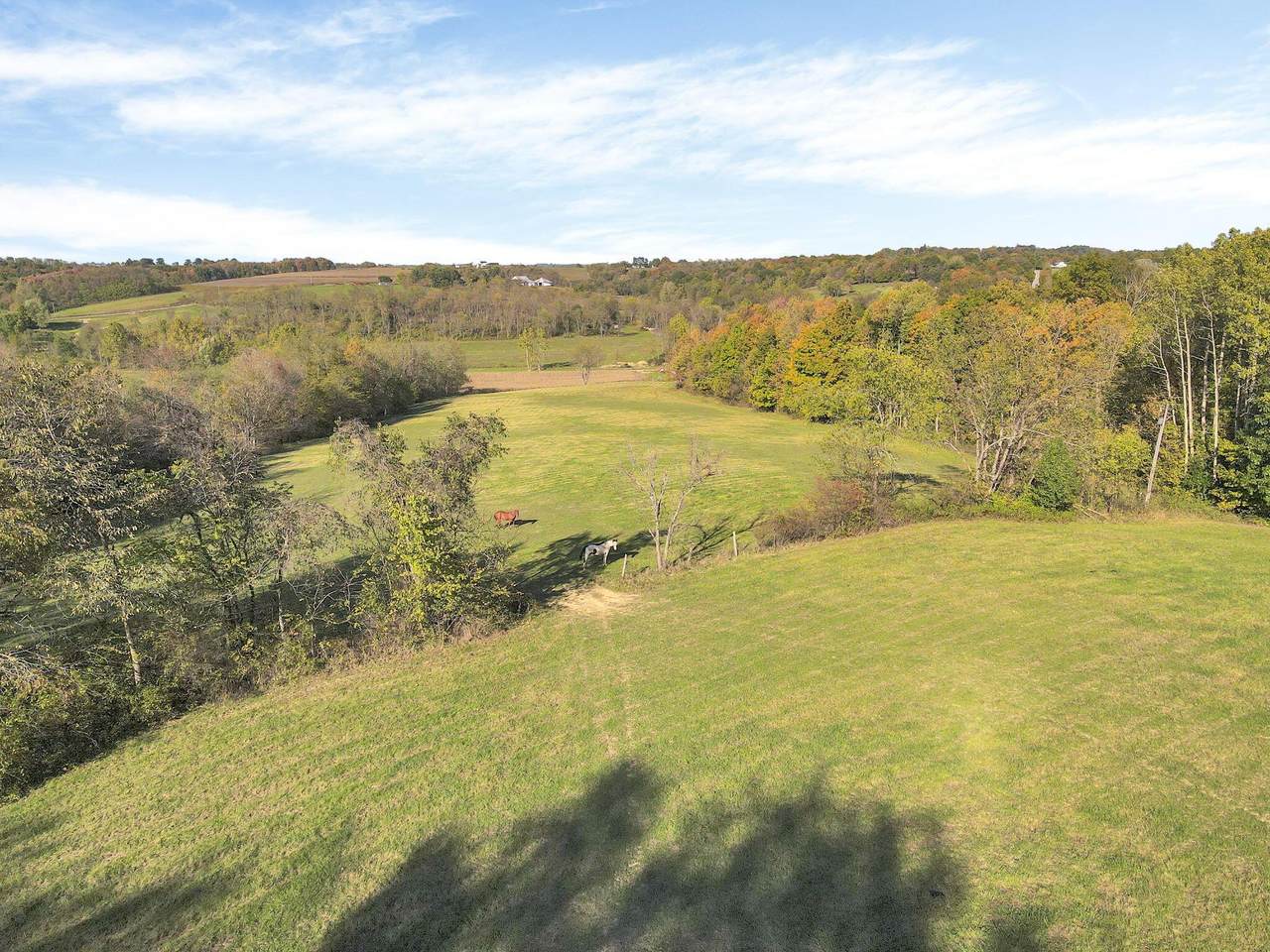 10705 Township Road 92 - Photo 1