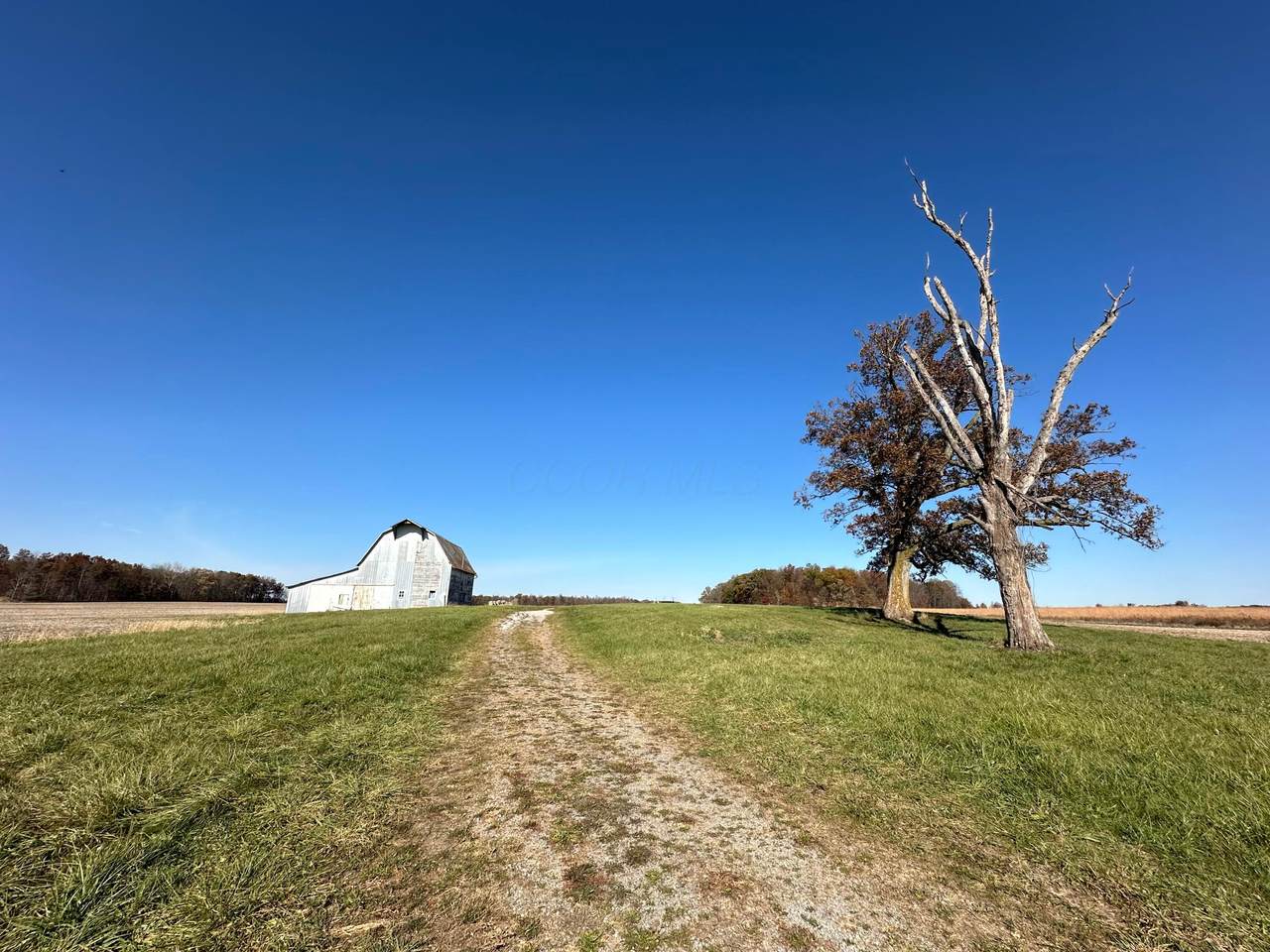 18120 Yoakum Road - Photo 1