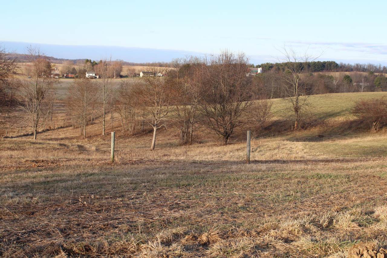 https://bt-photos.global.ssl.fastly.net/columbus/1280_boomver_1_224043848-2.jpg