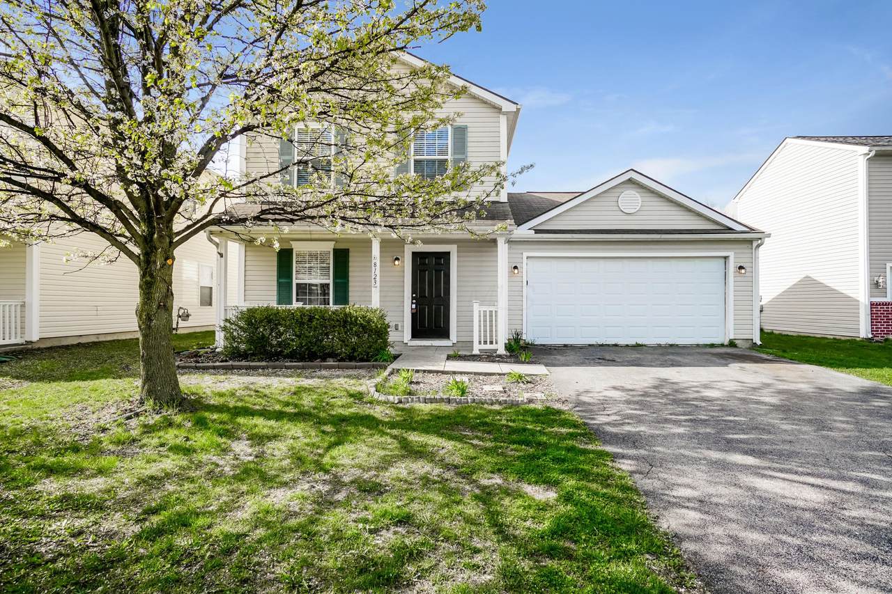 8123 Royal Elm Drive - Photo 1