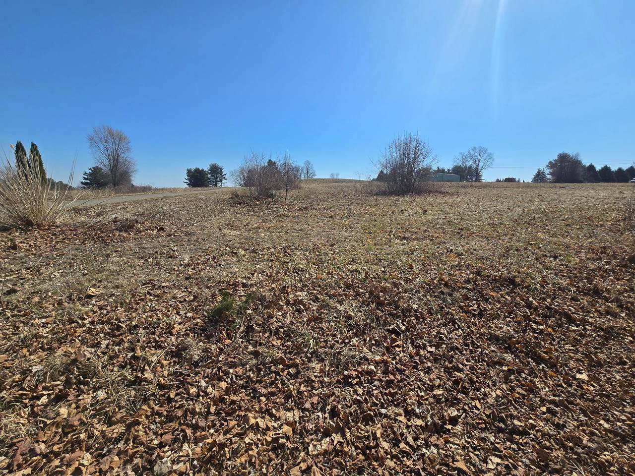 0-Lot #2 Fremar Road - Photo 1
