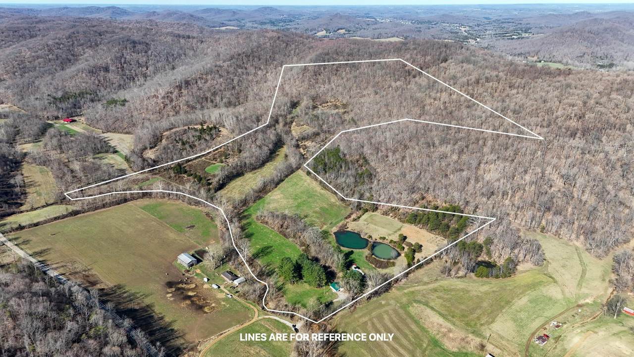 7583 Blue Creek Road - Photo 1