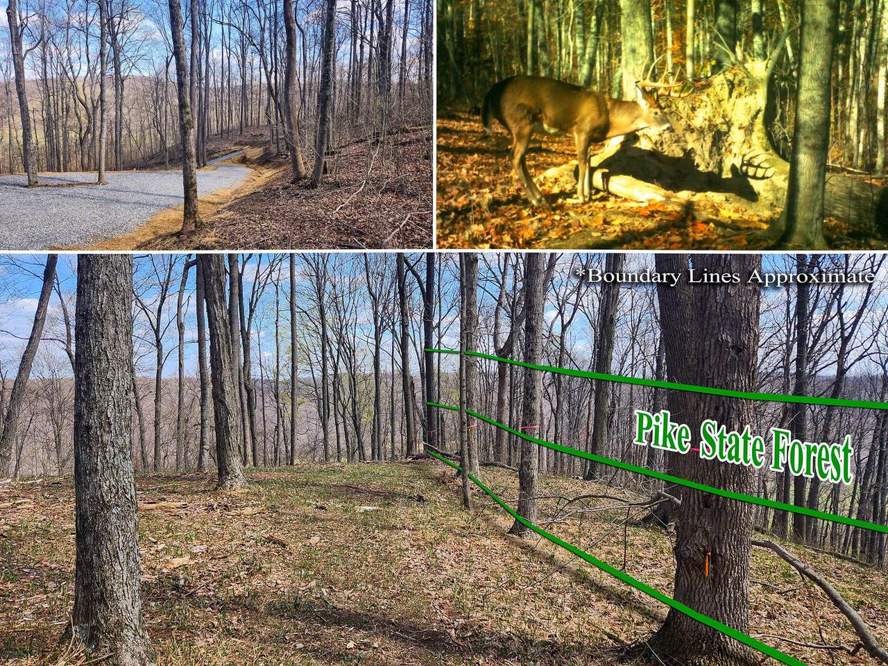 0-(Tract 4 Pike Lake Pike Lake Rd Road - Photo 1
