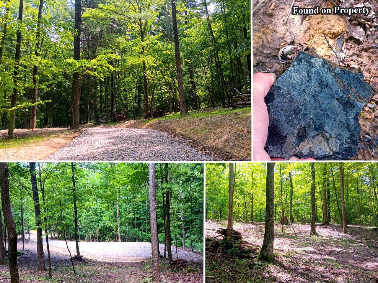 0-(Lot N Woods Flint Mulberry Street - Photo 1