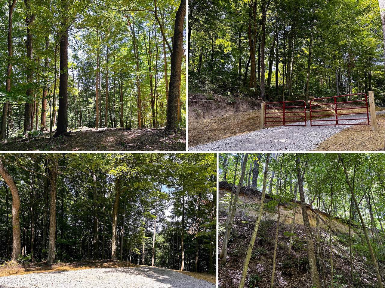 0-(Tract 8 at Titus) Parkinson Road - Photo 1