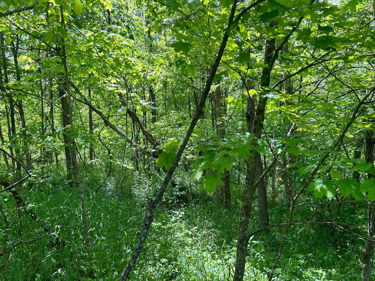 https://bt-photos.global.ssl.fastly.net/columbus/1280_boomver_1_225021920-2.jpg