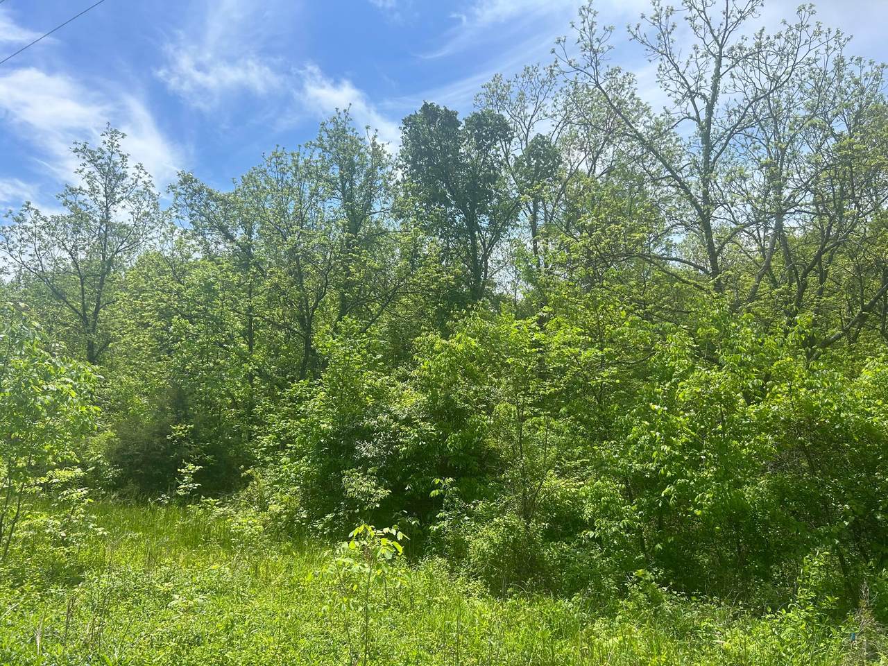 https://bt-photos.global.ssl.fastly.net/columbus/1280_boomver_1_225021937-2.jpg