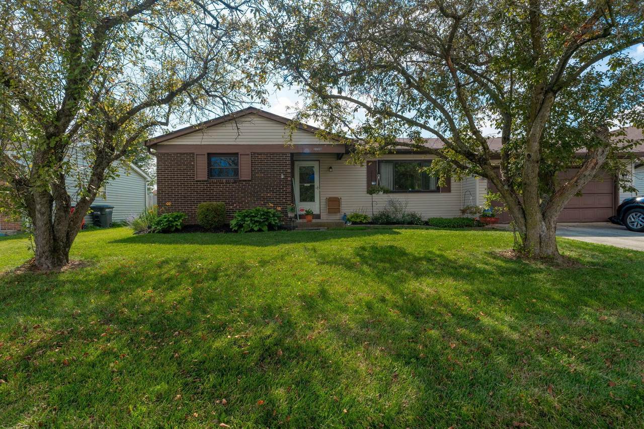 3709 Juniper Street - Photo 1