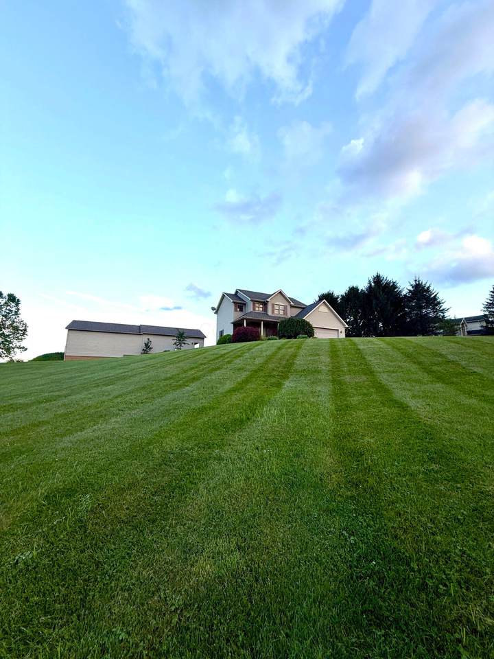 26067 Buena Vista Road - Photo 1